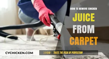 Effective Tips to Remove Chicken Juice Stains from Your Carpet