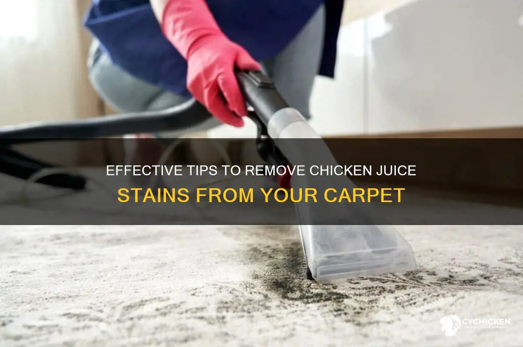 how to remove chicken juice from carpet