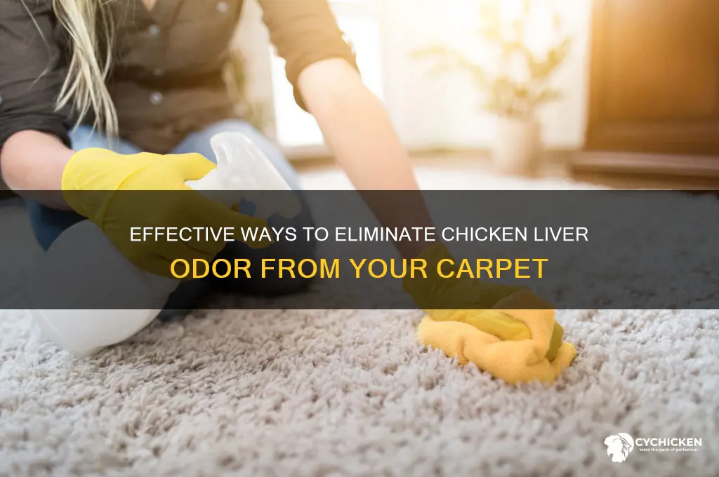 how to remove chicken liver smell from carpet