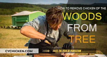 Eradicating Chicken of the Woods: A Tree's Savior
