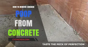 Effective Methods to Clean Chicken Poop Off Concrete Surfaces Easily