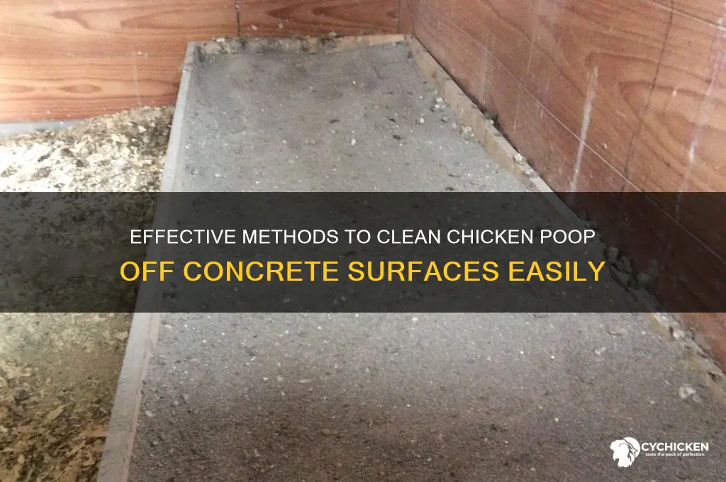how to remove chicken poop from concrete