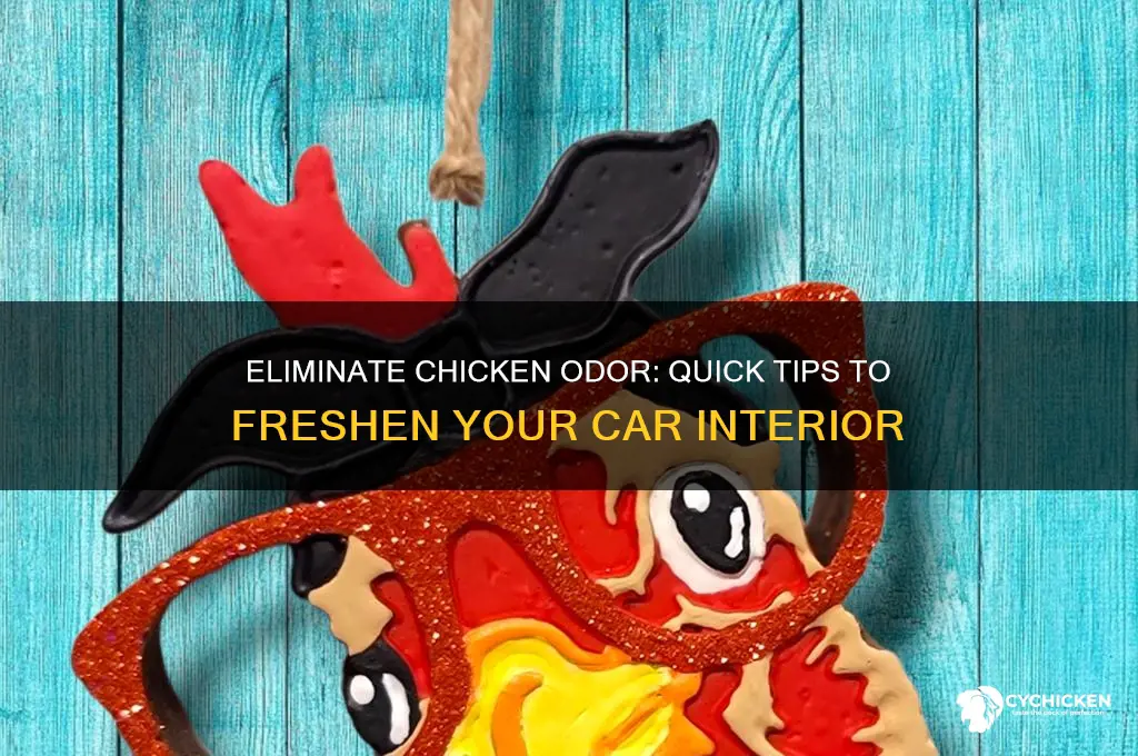 how to remove chicken smell from car