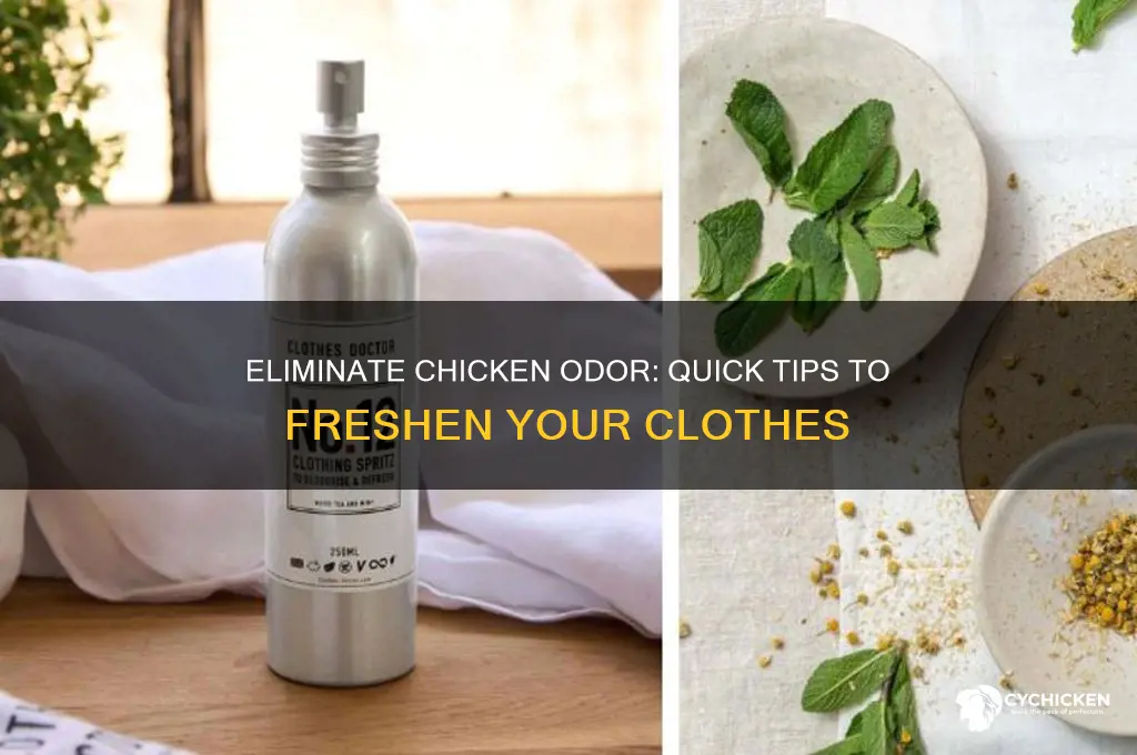 how to remove chicken smell from clothes