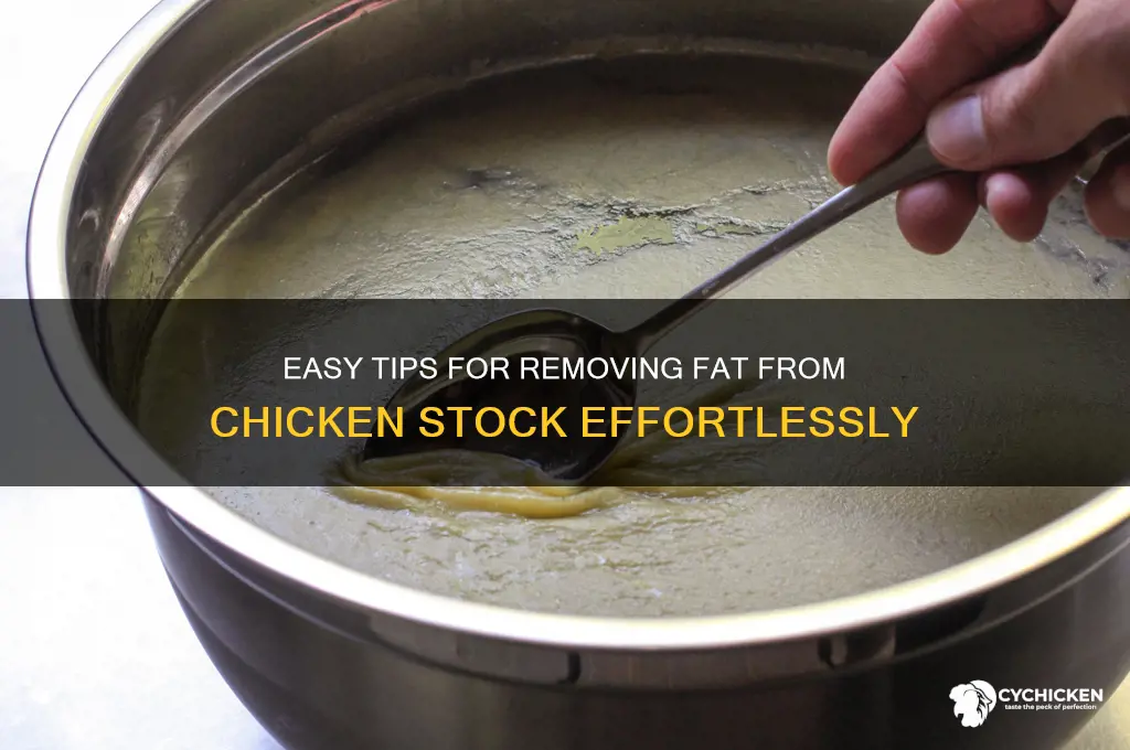 how to remove fat from chicken stock