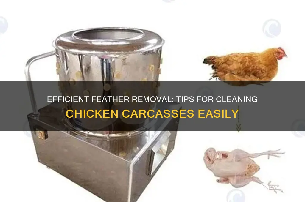 how to remove feathers from chicken carcass