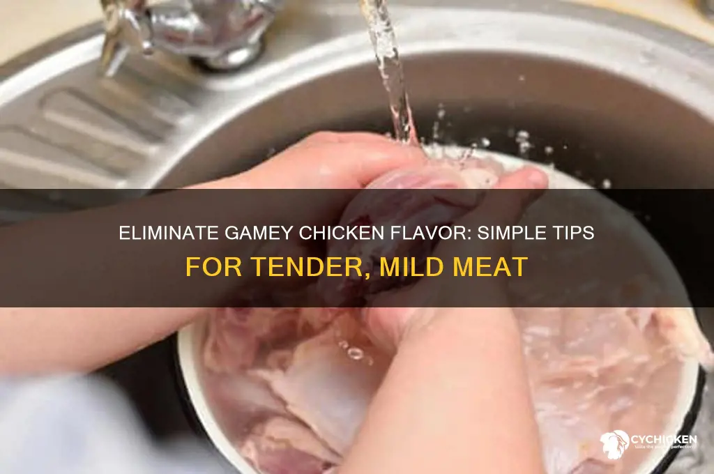 how to remove gamey taste from chicken