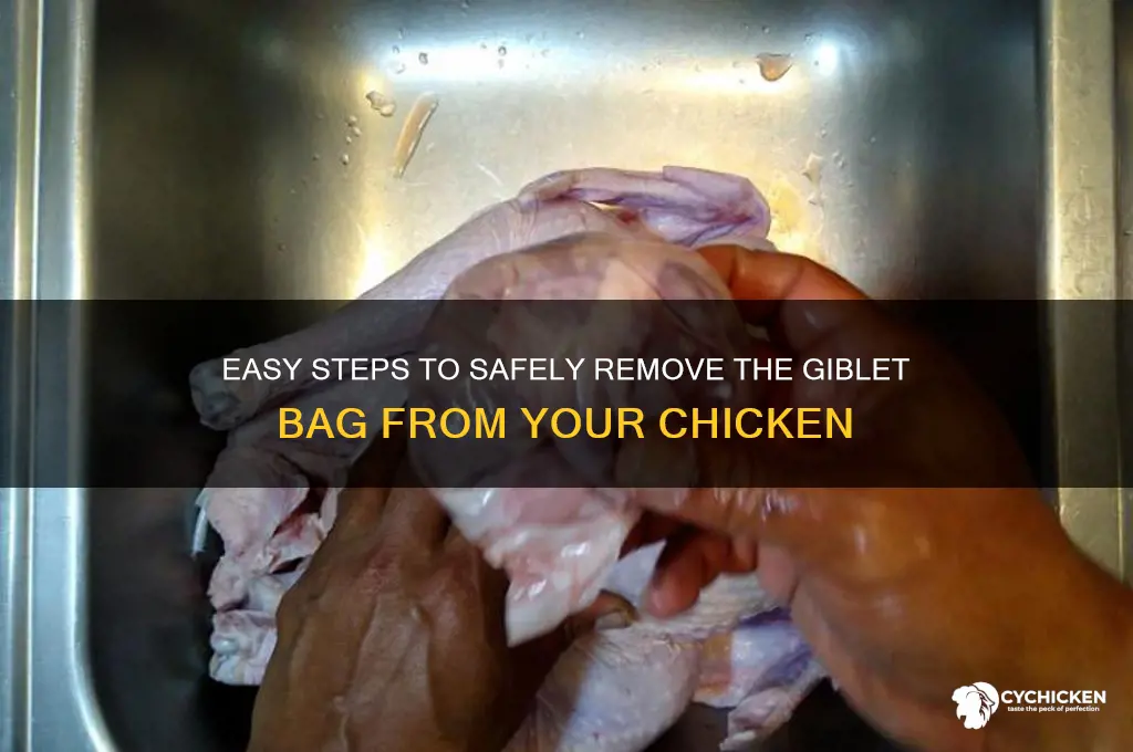 how to remove giblet bag from chicken