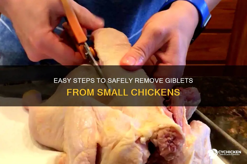 how to remove giblets from small chicken