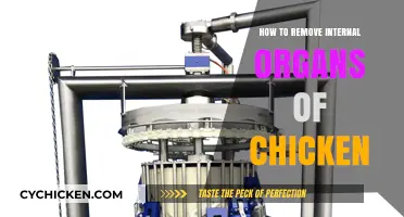 Mastering Chicken Butchery: Step-by-Step Guide to Removing Internal Organs