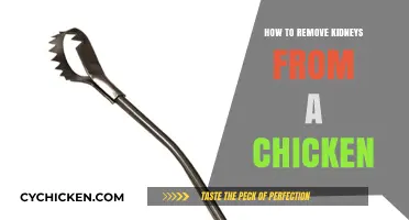 Step-by-Step Guide to Removing Kidneys from a Chicken Safely