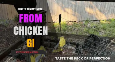 Safely Removing Metal from Chicken GI: Essential Tips and Techniques