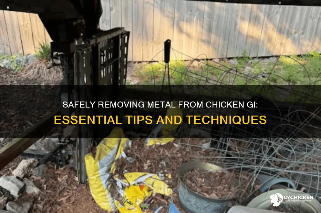 how to remove metal from chicken gi