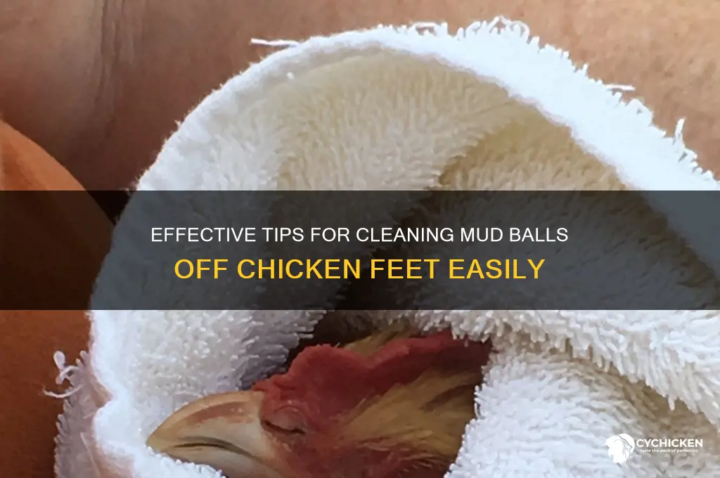 how to remove mud balls from chicken feet