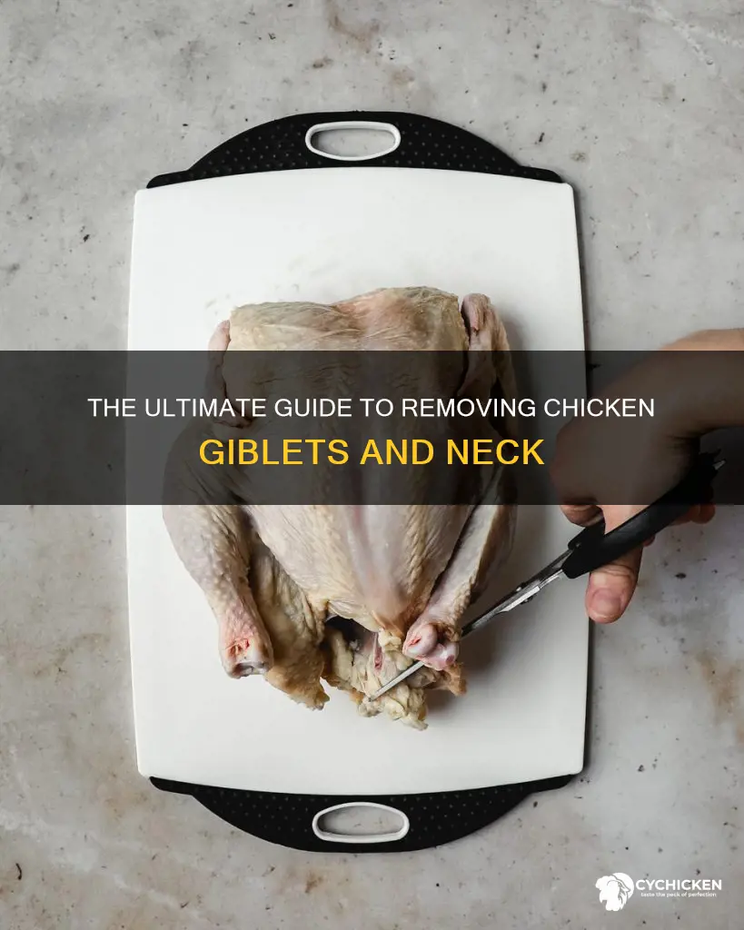 how to remove neck and giblets from a chicken
