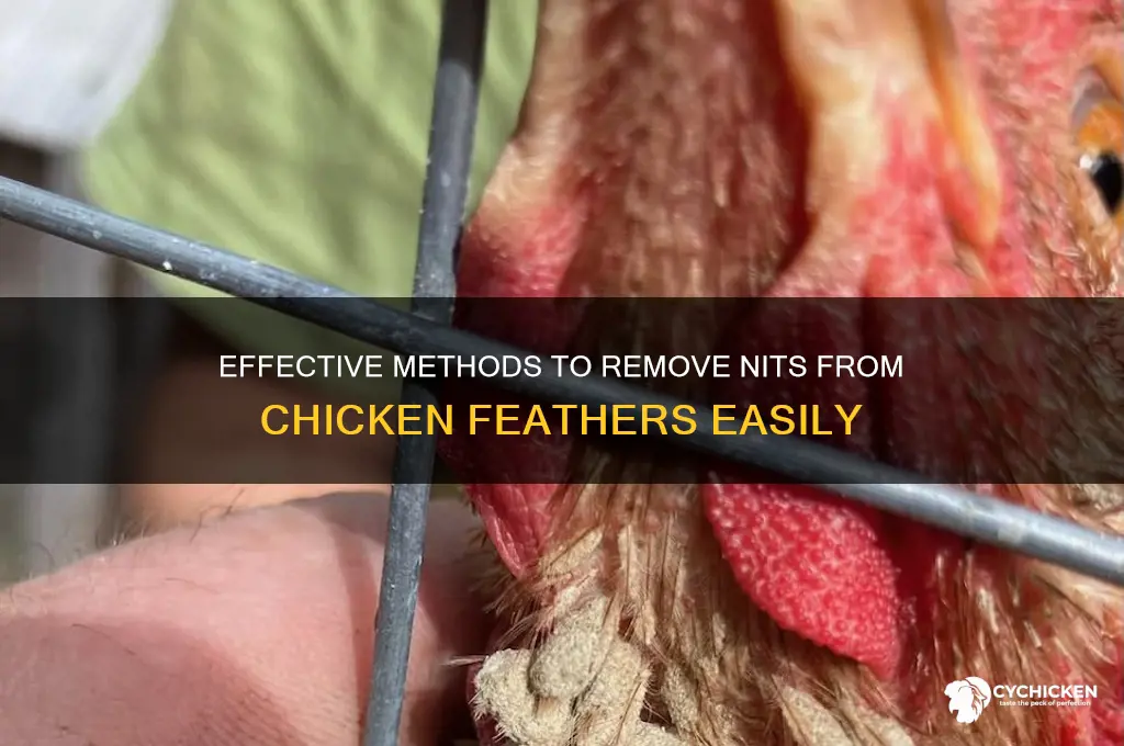 how to remove nits from chicken feathers