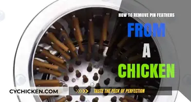 Efficiently Removing Pin Feathers from Chicken: A Step-by-Step Guide