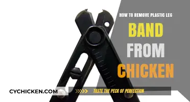 Safely Removing Plastic Leg Bands from Chickens: A Step-by-Step Guide