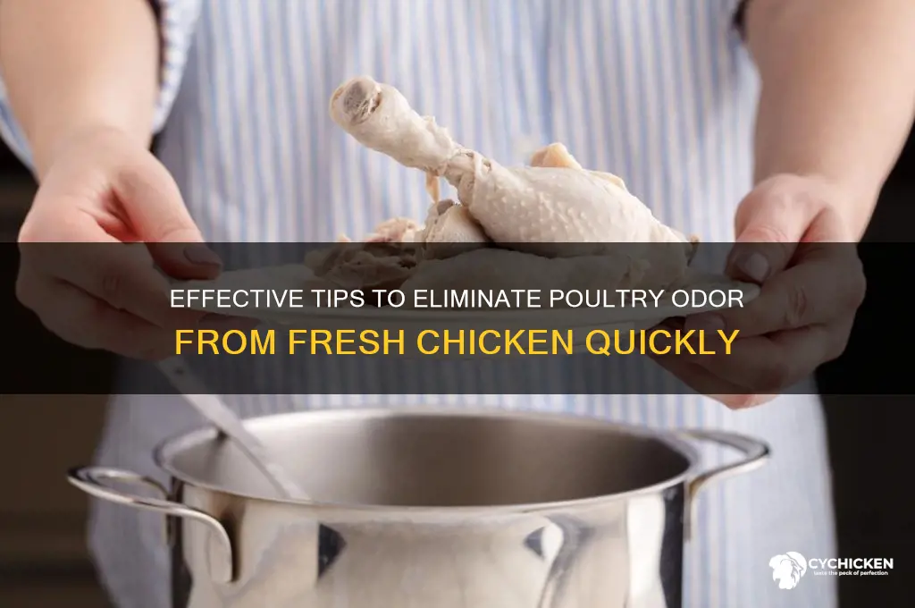 how to remove poultry smell from chicken