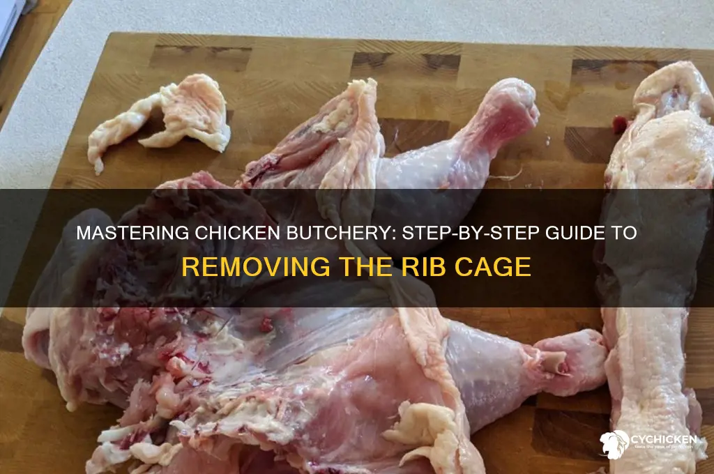 how to remove rib cage from chicken