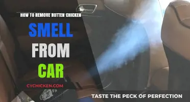 Eliminate Rotten Chicken Odor: Effective Car Cleaning Tips and Tricks