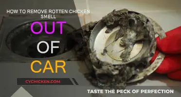 Eradicate Rotten Chicken Odor from Your Car