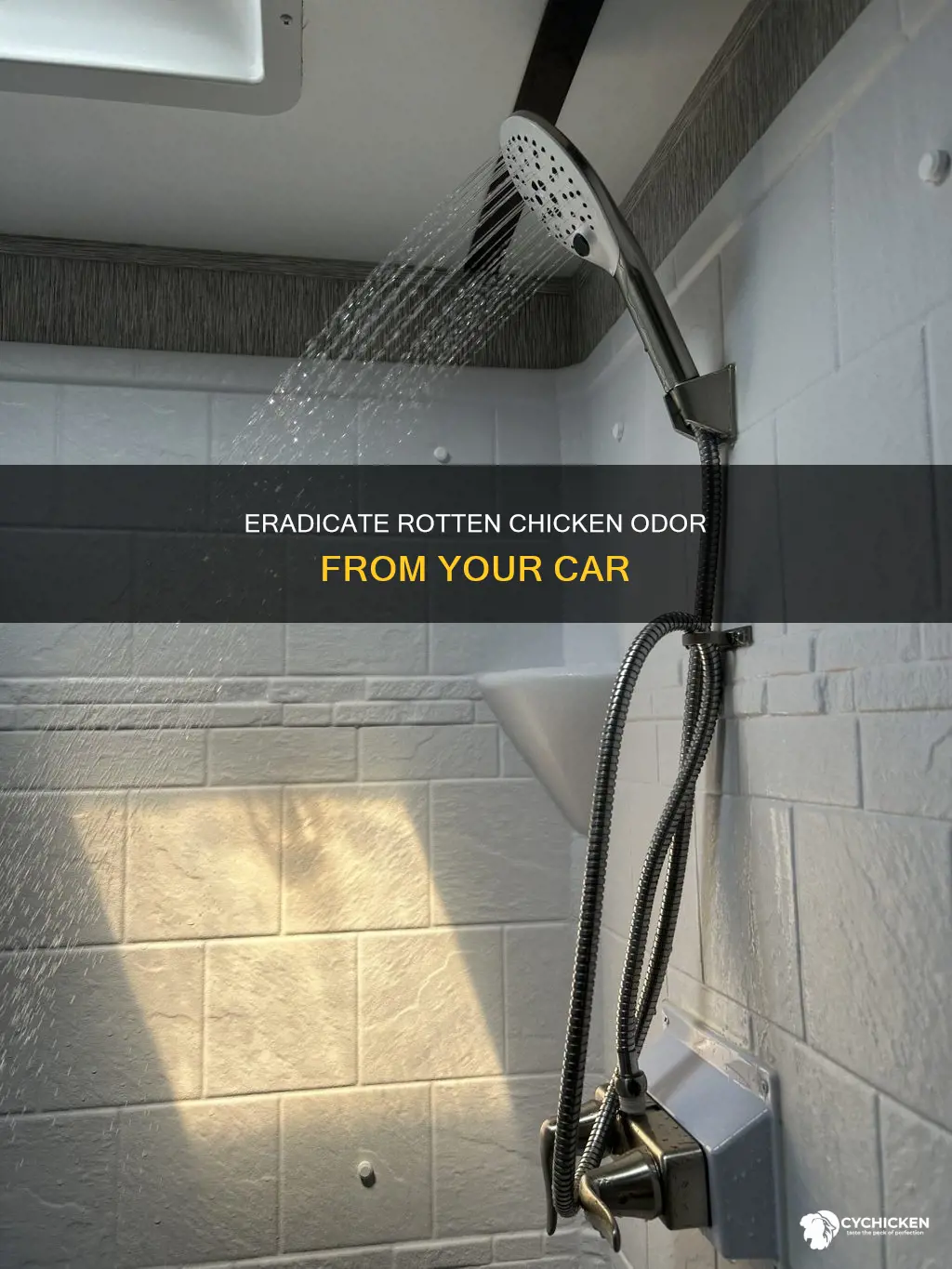 how to remove rotten chicken smell out of car