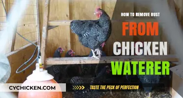 Effective Rust Removal Tips for Your Chicken Waterer Maintenance