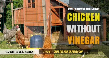 Effective Ways to Eliminate Chicken Odor Without Using Vinegar