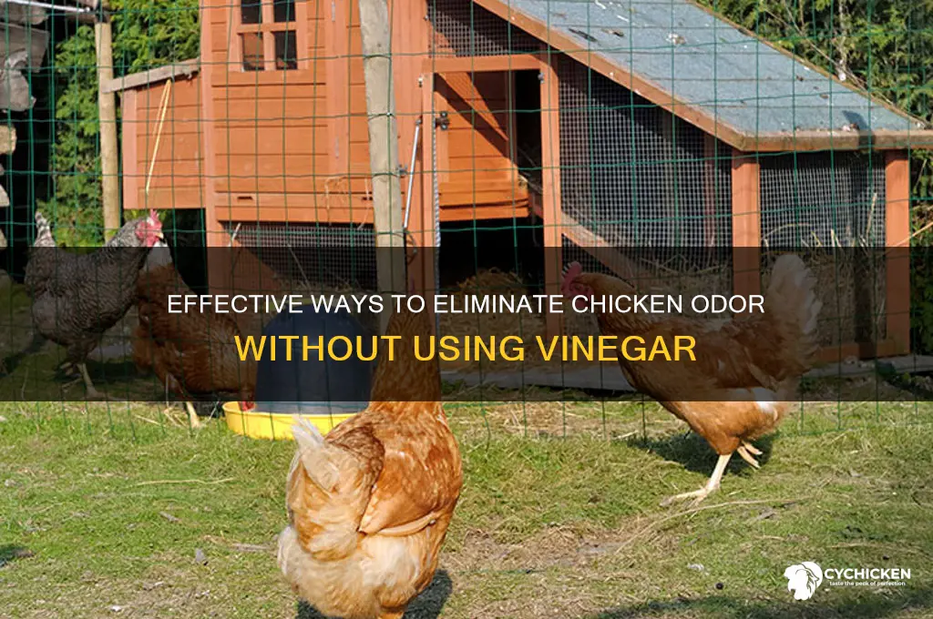 how to remove smell from chicken without vinegar