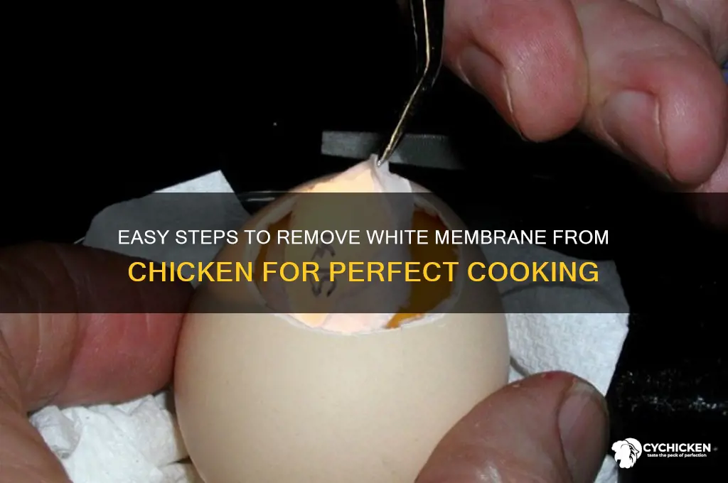 how to remove white membrane from chicken