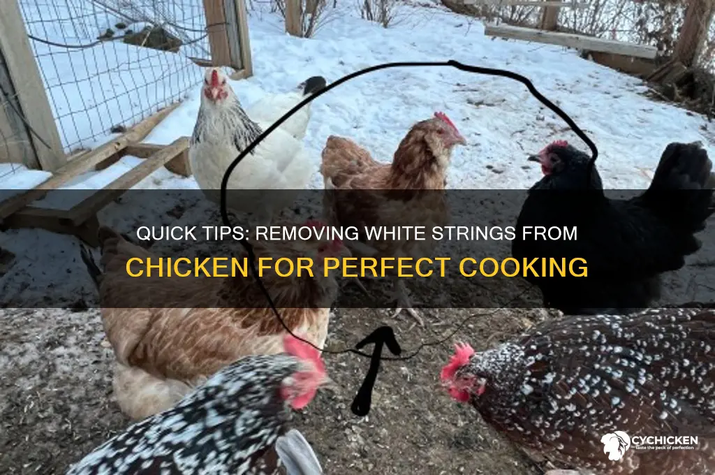 how to remove white string from chicken
