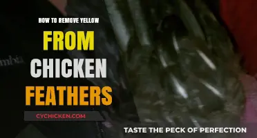 Effective Methods to Remove Yellow Stains from Chicken Feathers