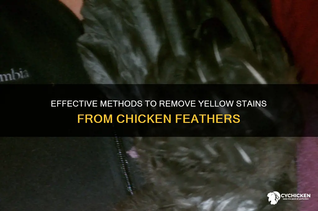 how to remove yellow from chicken feathers