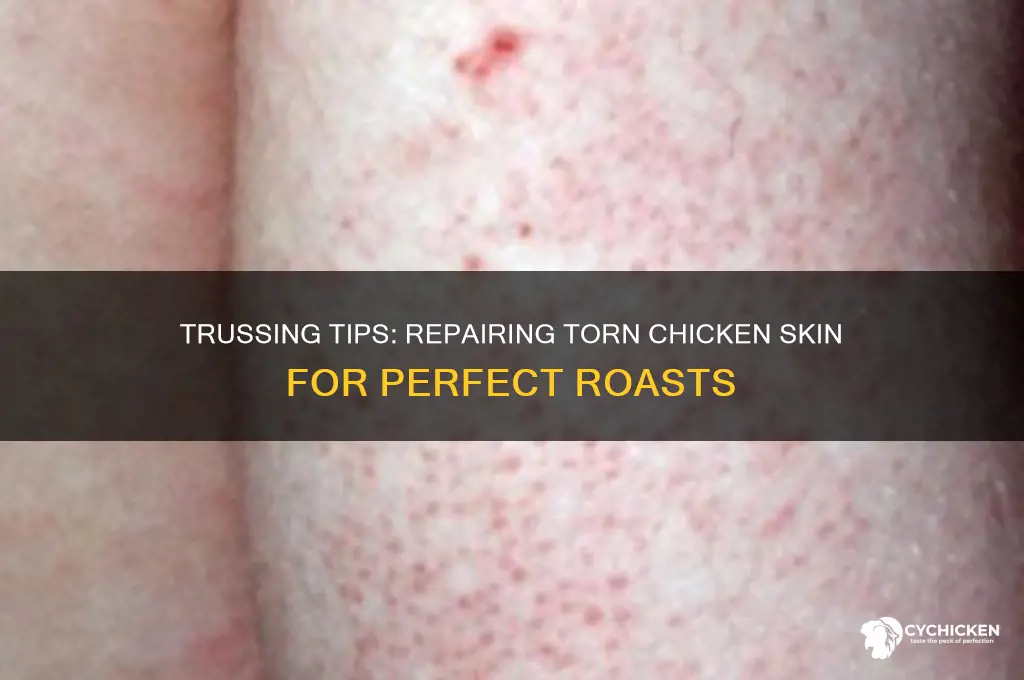 how to repair torn chicken skin when trussing