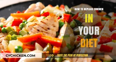 Plant-Based Protein Alternatives: Replacing Chicken in Your Daily Diet