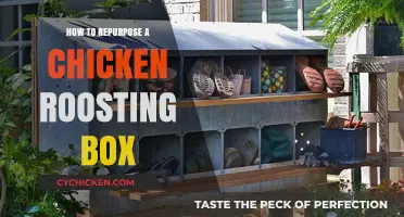 Creative Ways to Repurpose Your Old Chicken Roosting Box
