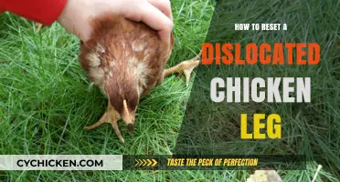 Quick Guide to Safely Resetting a Dislocated Chicken Leg