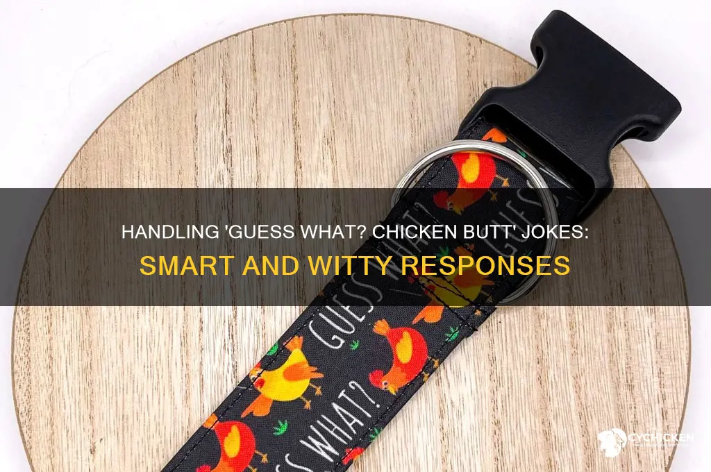 how to respond to guess what chicken butt
