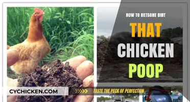 Revitalizing Soil: Effective Methods to Restore Dirt Contaminated by Chicken Poop