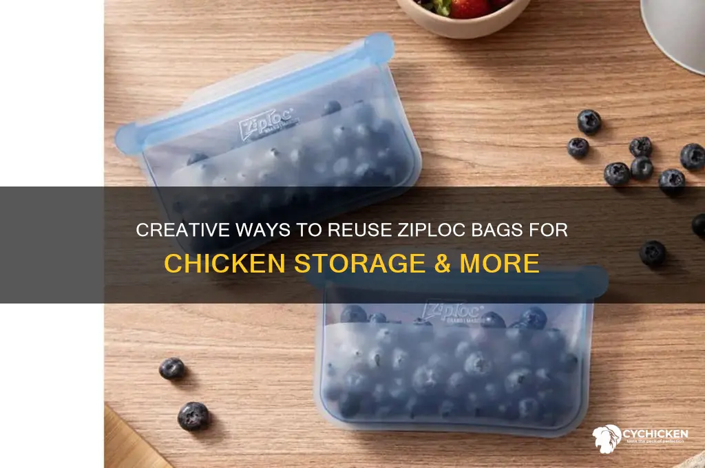how to reuse a ziploc bag chicken
