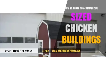 Revitalizing Old Chicken Barns: Creative Reuse Ideas for Commercial Spaces