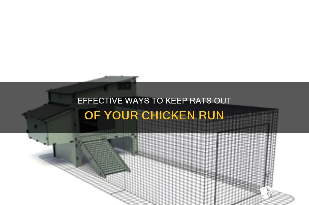 how to rid rats from my chicken run