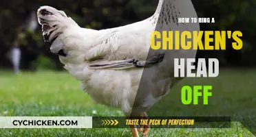 Quick Guide: Safely Removing a Chicken's Head for Processing