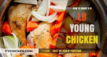 Perfectly Roasted 4 lb Young Chicken: Simple Steps for Juicy Results