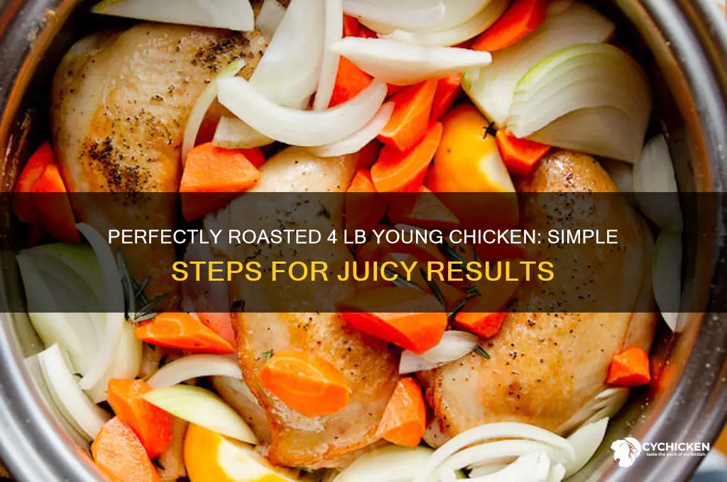 how to roast a 4 lb young chicken
