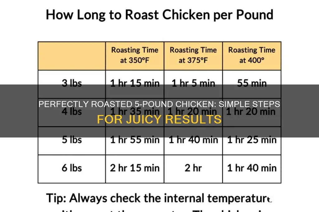 how to roast a 5 lb unstuffed chicken