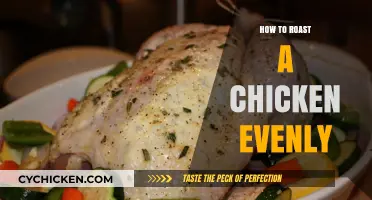 Mastering the Art of Evenly Roasted Chicken: Tips and Techniques