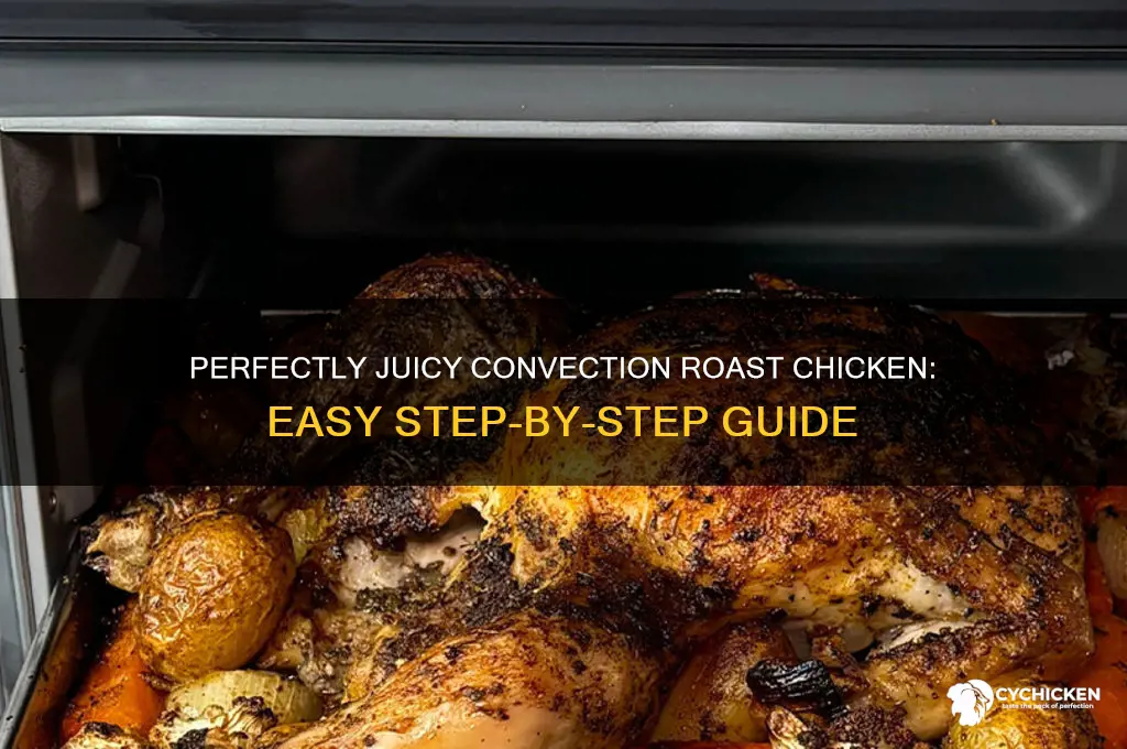 how to roast a chicken in a convection roast setting