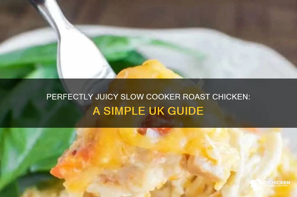 how to roast a chicken in a slow cooker uk